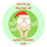 Christmas Naughty Santa 2 Gift Stickers