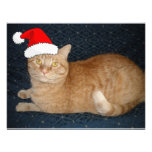 Christmas Orange Tabby Cat Custom Invites