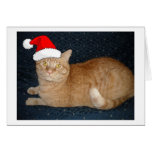 Christmas Orange Tabby Cat Greeting Card