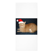 Christmas Orange Tabby Cat Rack Card Design