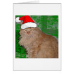 Christmas Orange Tabby Kitty Greeting Cards