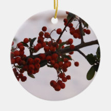 christmas ornament