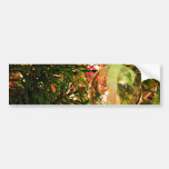 Christmas Ornaments 2 Bumper Stickers