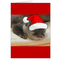Christmas Otter Greeting Cards