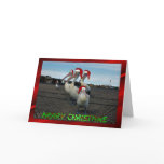 Christmas pelican family funny humour Christmas xm cards