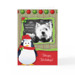Christmas Penguin Stripes Photo Greeting Card