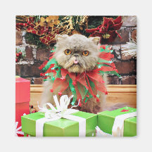 Christmas - Persian Cat - Frannie Fridge Magnet