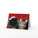 Christmas Pets Greeting Cards