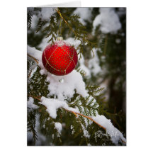 Christmas Photo Card