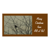 Christmas Photo Card:  Little Bird