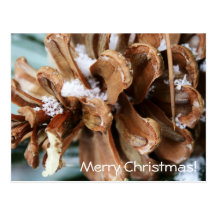 Christmas Pine Cone Post Card