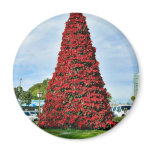 Christmas Poinsettia Tree In San Diego Magnets