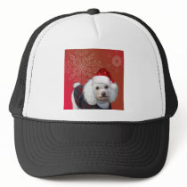 Christmas poodle trucker hats