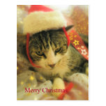 Christmas Post Cards