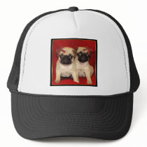 Christmas pug puppies hats