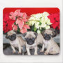 Christmas pug puppies mousepad