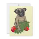 Christmas Pug Puppy