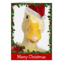 Christmas Quack Cards