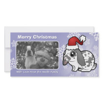 Christmas Rabbit (floppy ear smooth hair)