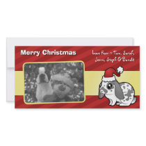 Christmas Rabbit (floppy ear smooth hair)