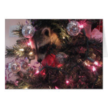 Christmas Raccoon Greeting Card
