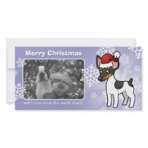 Christmas Rat Terrier / Toy Fox Terrier