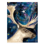 Christmas Reindeer at Night with a Shining Star Post Card