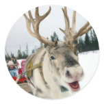 Christmas Reindeer Round Sticker