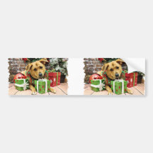 Christmas - Rhodesian Ridgeback - Gracie Bumper Stickers