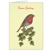 christmas robin and ivy illustration greeting card