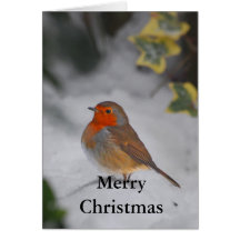 Christmas Robin Greeting Card