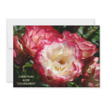 CHRISTMAS ROSE Invitations Celebrations Shows Rose