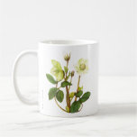 Christmas Rose Mug