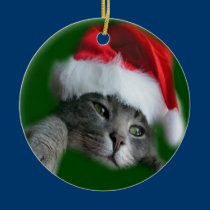 Christmas Santa cat ornament ornaments