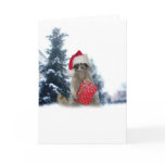 Christmas Santa Raccoon Bandit Cards