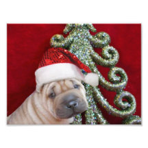 Christmas shar pei puppy photo print