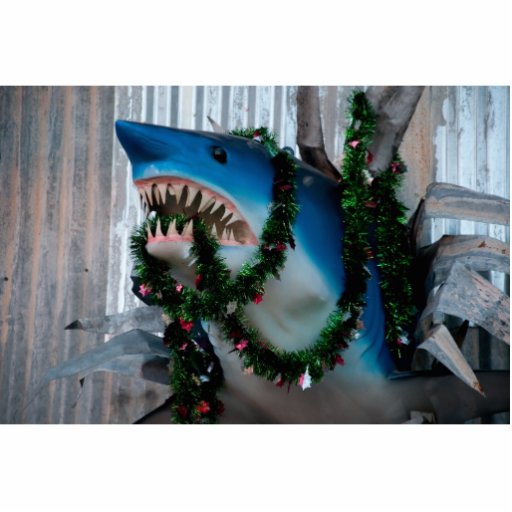 Christmas Shark photosculpture Cut Out