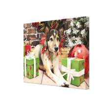 Christmas - Sheltie - Bart Gallery Wrap Canvas