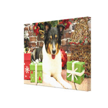 Christmas - Sheltie - Lacey Canvas Print
