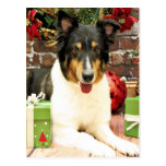 Christmas - Sheltie - Lacey Postcard