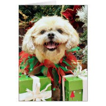 Christmas - Shih Tzu - Cubby Greeting Cards