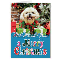 Christmas - Shih Tzu - Cubby Greeting Cards