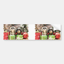 Christmas - Shih Tzu - Maggie and Vince Bumper Stickers