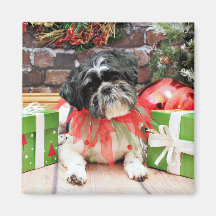 Christmas - Shih Tzu - Sadie Fridge Magnets