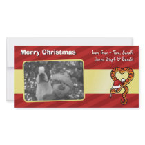 Christmas Snake