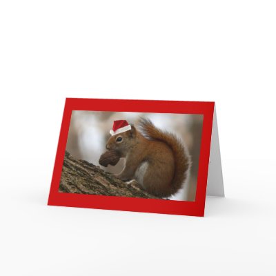 christmas squirrel greeting card by jghadban