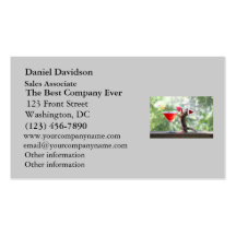 Christmas Squirrel Drinking a Cocktail Business Card Template