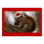 christmas squirrel greeting card