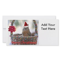 Christmas Squirrel in Basket with Snow Photo Card