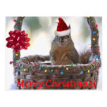Christmas Squirrel in Basket with Snow Postcard